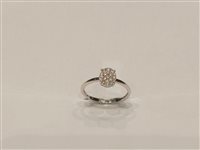 Anello Gazzola Gioielli Donna in Oro bianco 0.20 Ct FROF5631-NG - FROF5631-NG